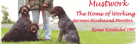 Link to Mustwork German Wirehaired Pointers